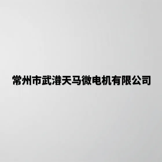 常州市武进天马微电机有限公司