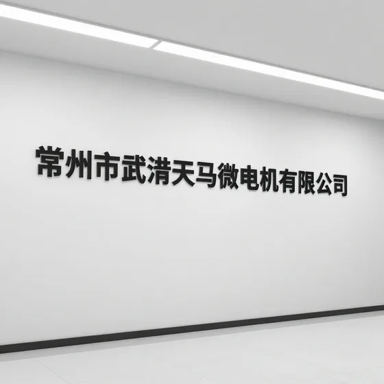 常州市武进天马微电机有限公司