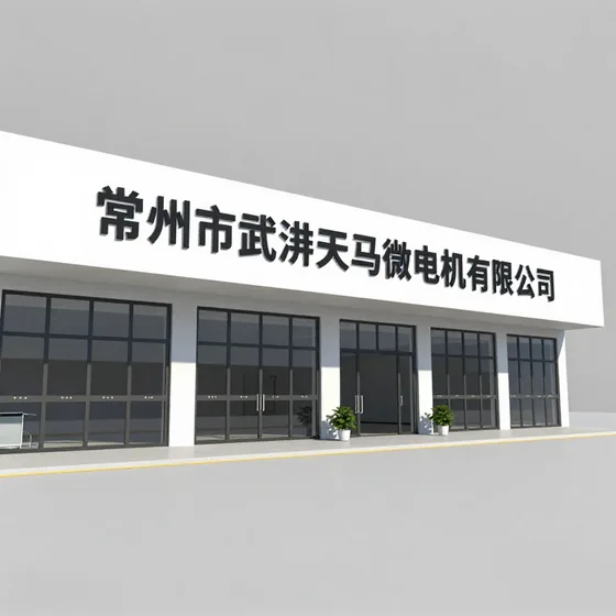 常州市武进天马微电机有限公司