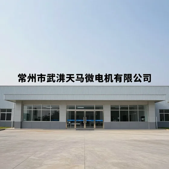 常州市武进天马微电机有限公司